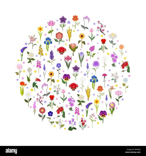 50 Most Popular Flowers: A Comprehensive Guide to Iconic。